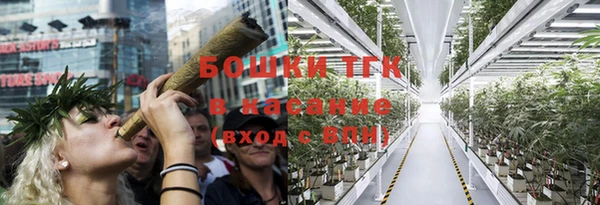 spice Горнозаводск